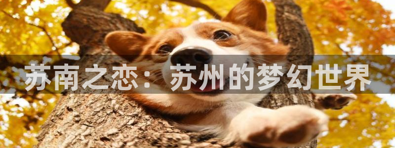 长运娱乐官网加拿大：苏南之恋：苏州的梦幻世界