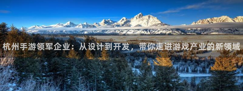 长运娱乐官网怎么上不去了：杭州手游领军企业：从设计到开发，带