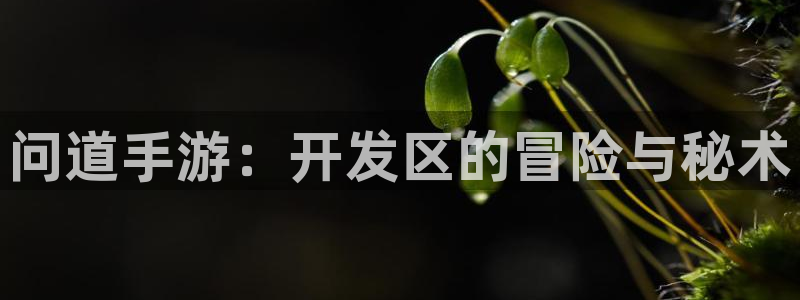 pc长运娱乐官网app官网下载：问道手游：开发区的冒险与秘术