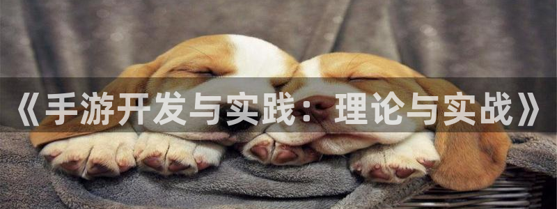 pc28开奖网站大神：《手游开发与实践：理论与实战》