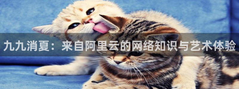 88看球直播吧