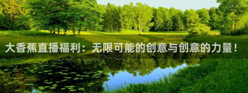 88看球直播网