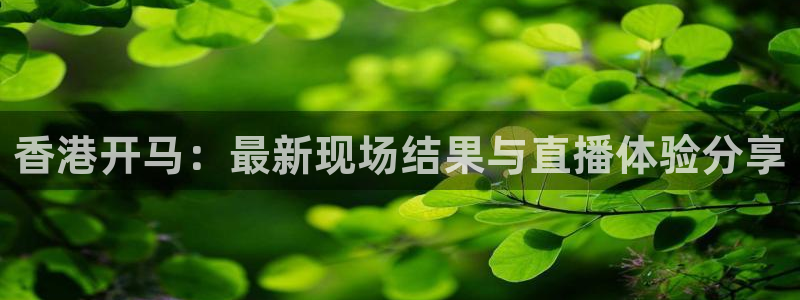 88看球直播在线观看：香港开马：最新现场结果与直播体验分享