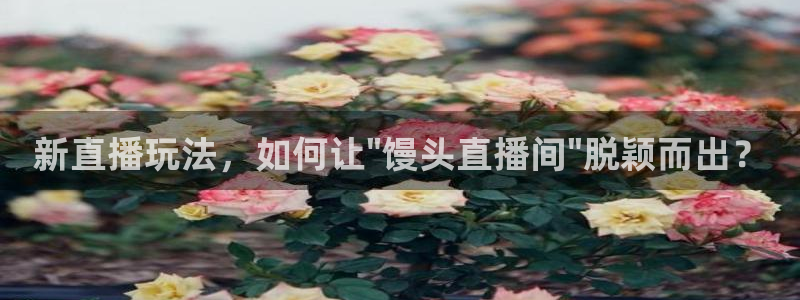 88看球免费nba直播：新直播玩法，如何让\